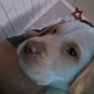 Meet your Posher, Gina